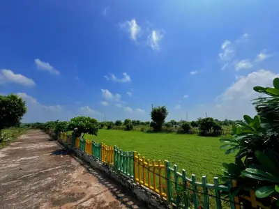 gallery_img1