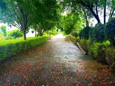 gallery_img1